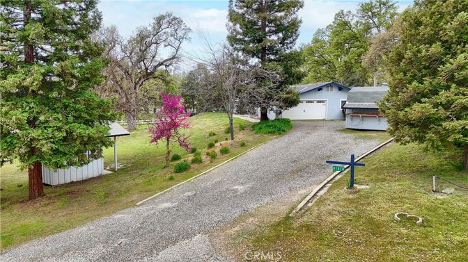 Backyard, Detached Garage, Exterior