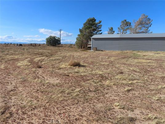Backyard, Detached Garage, Exterior