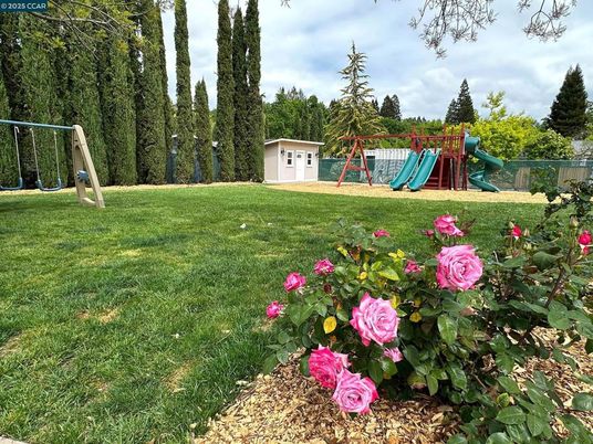 Backyard, Exterior, Playground