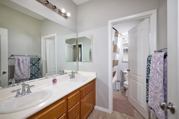 Bathroom, Dual Sink Vanities, Interior, Wood Texture Flooring