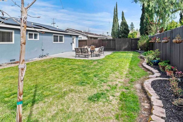 Backyard, Exterior, Solar Panels
