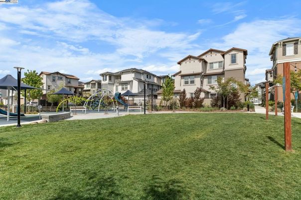 Backyard, Exterior, Playground