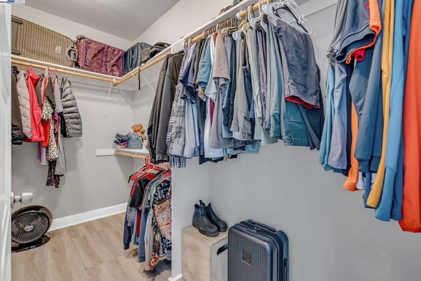 Interior, Walk-in Closets, Wood Texture Flooring