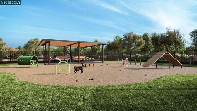 Backyard, Exterior, Playground