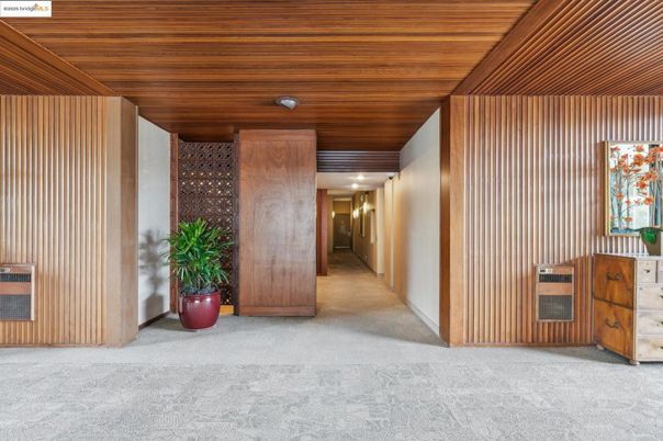 Interior, Wooden Ceilings
