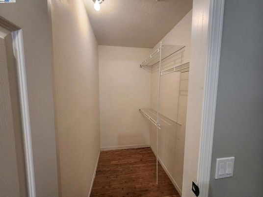 Interior, Walk-in Closets, Wood Texture Flooring