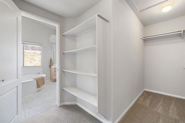 Bathroom, Interior, Walk-in Closets