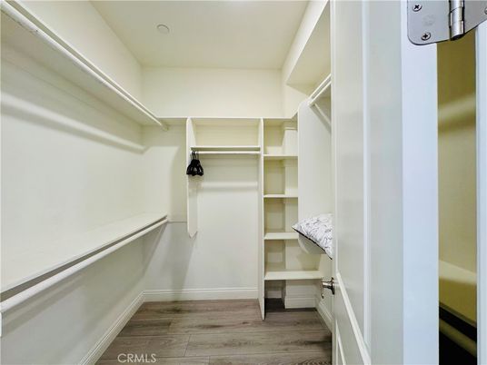Interior, Walk-in Closets, Wood Texture Flooring