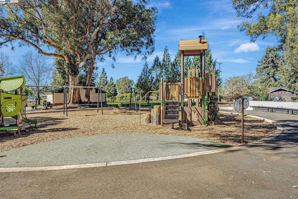Backyard, Exterior, Playground