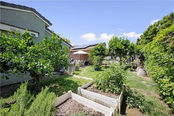 Backyard, Exterior, Solar Panels