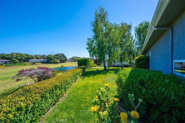 Backyard, Exterior, Lake, Water