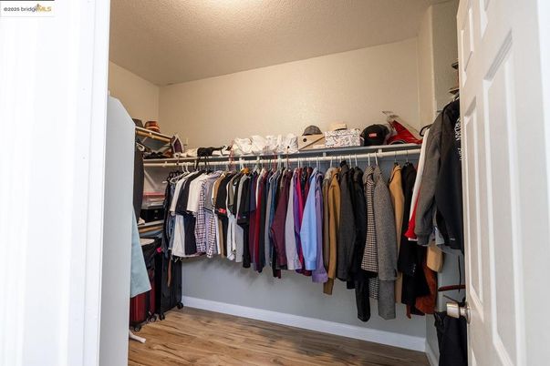 Interior, Walk-in Closets, Wood Texture Flooring