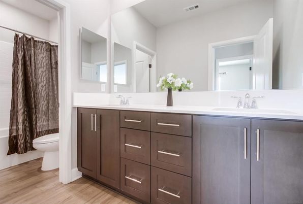 Bathroom, Dual Sink Vanities, Interior, Wood Texture Flooring