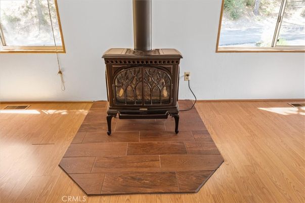 Fireplace, Interior, Wood Texture Flooring