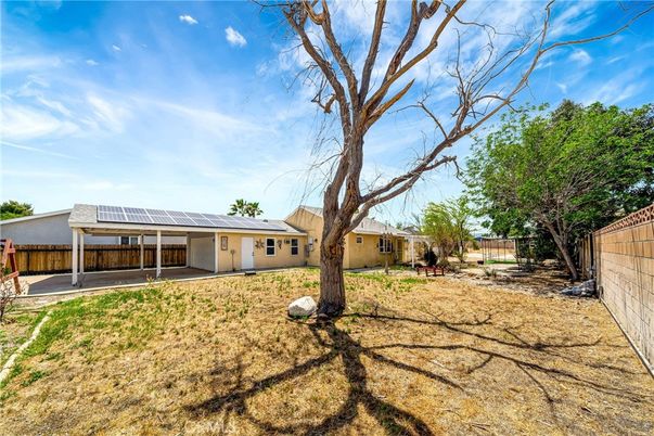 Backyard, Exterior, Solar Panels