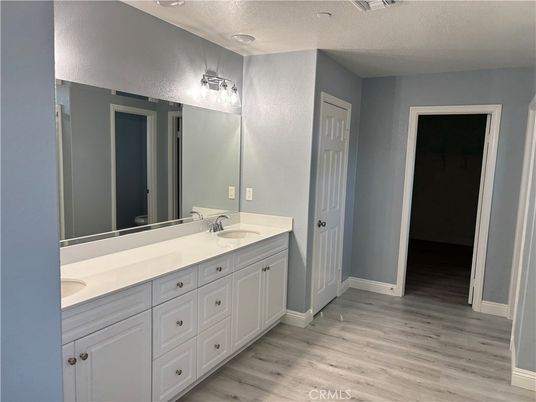 Bathroom, Dual Sink Vanities, Interior, Wood Texture Flooring