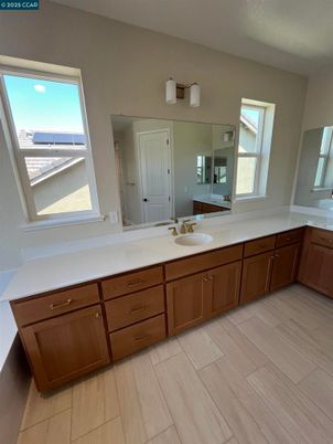 Bathroom, Dual Sink Vanities, Interior, Wood Texture Flooring