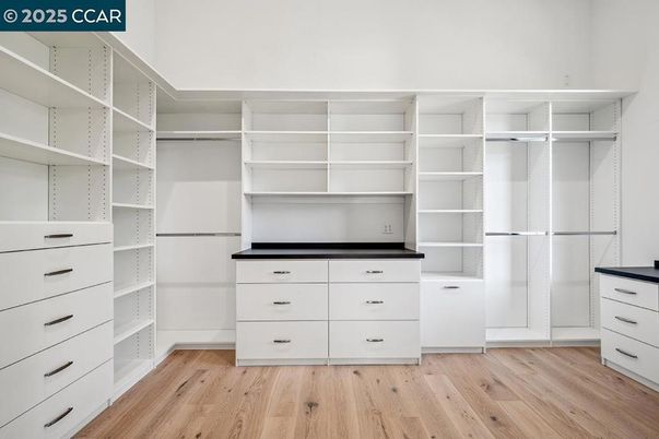Interior, Walk-in Closets, Wood Texture Flooring