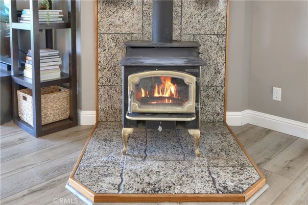 Fireplace, Interior, Wood Texture Flooring