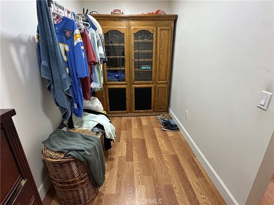 Interior, Walk-in Closets, Wood Texture Flooring