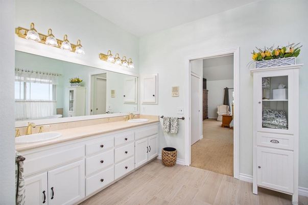 Bathroom, Dual Sink Vanities, Interior, Wood Texture Flooring