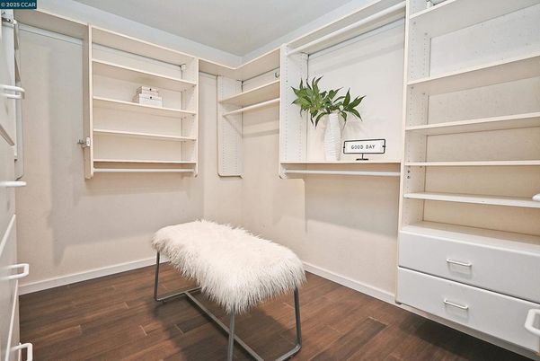 Interior, Walk-in Closets, Wood Texture Flooring
