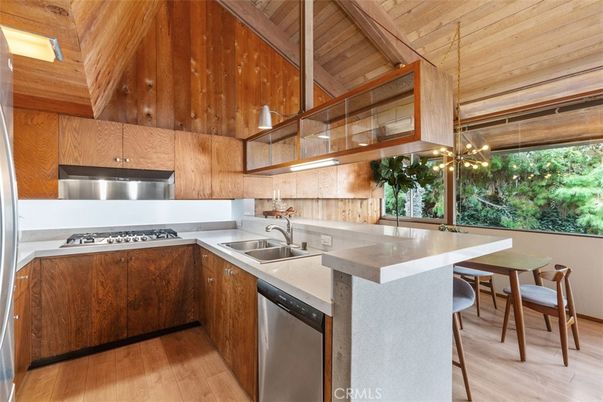 Interior, Kitchen, Stainless Steel Appliances, Wooden Ceilings, Wood Texture Flooring