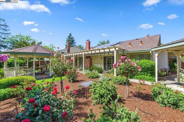 Backyard, Exterior, Solar Panels