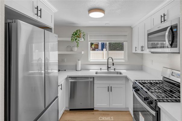 Interior, Kitchen, Stainless Steel Appliances, Wood Texture Flooring