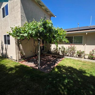 Backyard, Exterior, Solar Panels