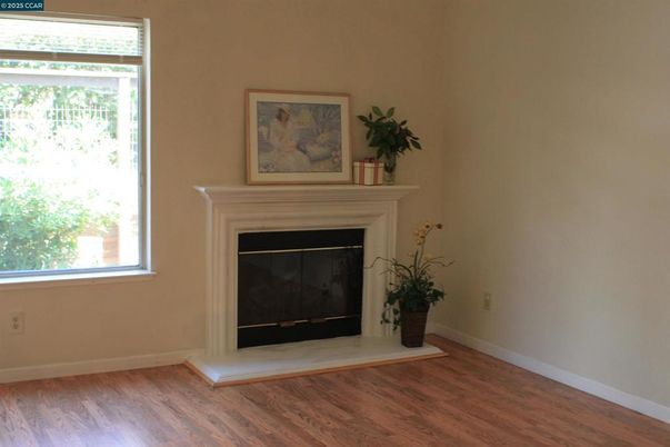 Fireplace, Interior, Wood Texture Flooring