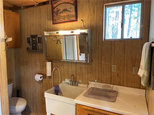 Bathroom, Interior, Wooden Walls