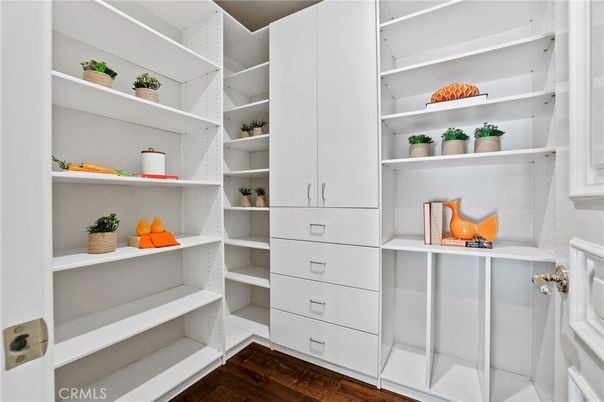 Interior, Walk-in Closets, Wood Texture Flooring