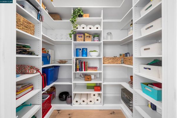 Interior, Walk-in Closets, Wood Texture Flooring