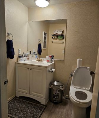 Bathroom, Interior, Wood Texture Flooring