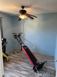 Fitness Equipment, Interior, Wood Texture Flooring