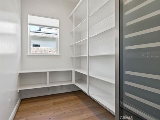 Interior, Walk-in Closets, Wood Texture Flooring
