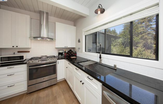 Interior, Kitchen, Stainless Steel Appliances, Wood Texture Flooring