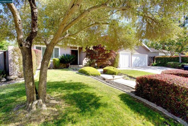 Backyard, Detached Garage, Exterior