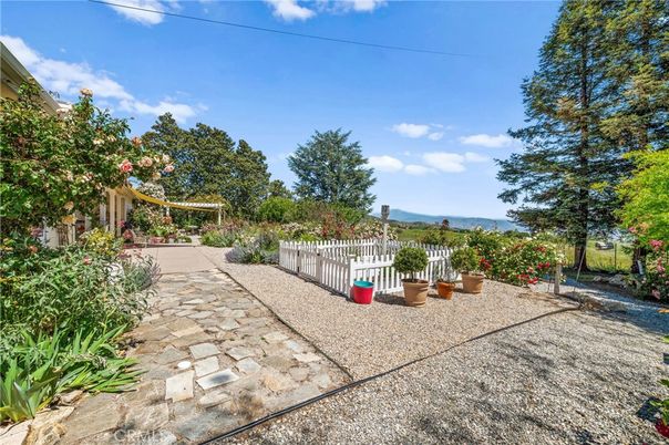 Backyard, Exterior, Water