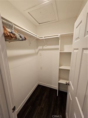 Interior, Walk-in Closets, Wood Texture Flooring