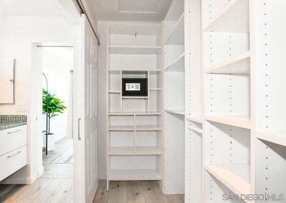 Interior, Walk-in Closets, Wood Texture Flooring