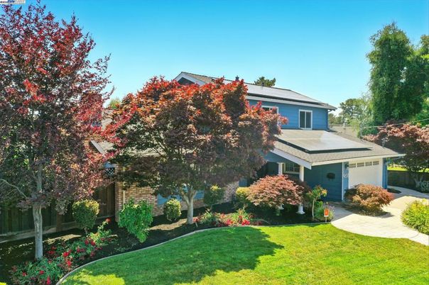 Backyard, Exterior, Solar Panels