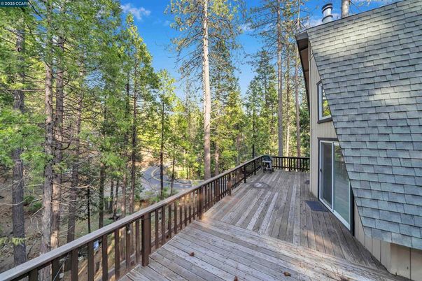 Exterior, Wood Texture Flooring