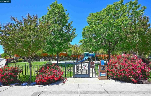 Backyard, Exterior, Playground