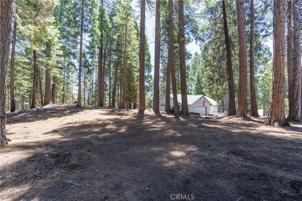 Backyard, Detached Garage, Exterior