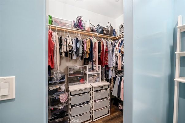 Interior, Walk-in Closets, Wood Texture Flooring