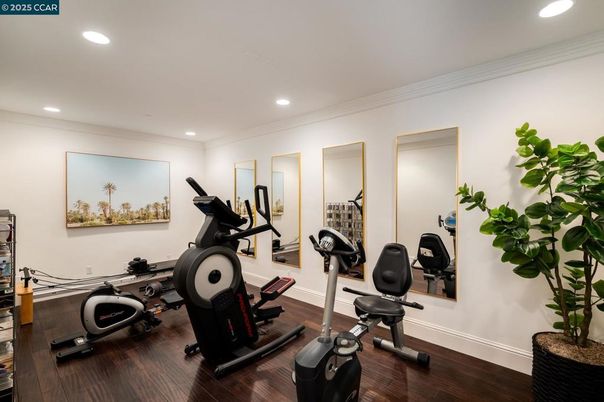 Fitness Equipment, Interior, Recessed Lighting, Wood Texture Flooring