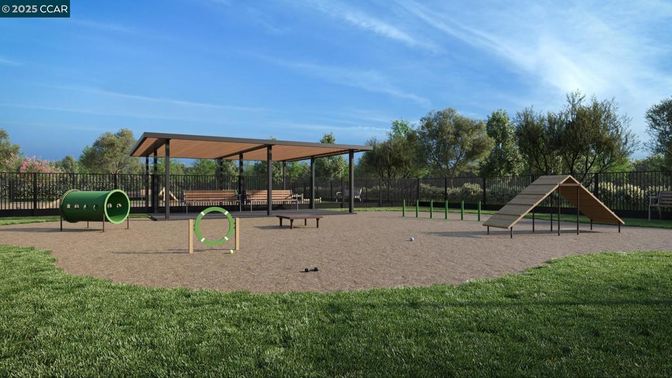 Backyard, Exterior, Playground