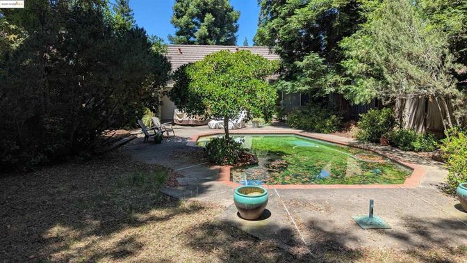 Backyard, Exterior, Pool